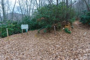 Rainbow Gap Trail Junction