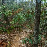 Rainbow Mountain Trail