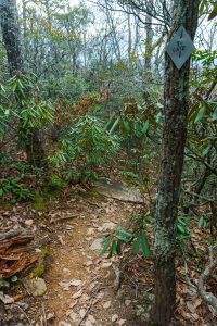 Rainbow Mountain Trail