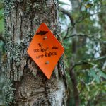 Sign to Lookout and East Ridge