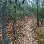 Trail Section of Rainbow Road