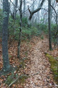 Trail Section of Rainbow Road