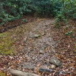 Wet Rocky Spot on the Rainbow Road Trail