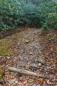 Wet Rocky Spot on the Rainbow Road Trail