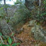 Rock Outcrop on the Rainbow Traverse