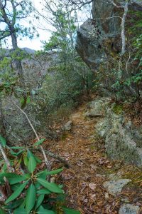 Rock Outcrop on the Rainbow Traverse