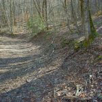 Start of the Perkins Road Trail