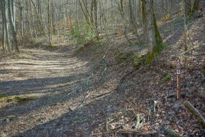 Start of the Perkins Road Trail