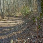 Start of the Perkins Road Trail