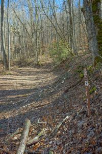 Start of the Perkins Road Trail