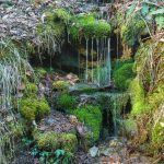 Mossy Tributary on the Staire Creek Trail
