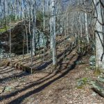 Rock House on Staire Creek Trail