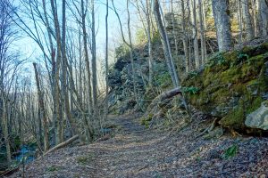 Rock Overhang on the Staire Creek Trail