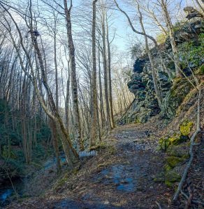 Rock Overhang on the Staire Creek Trail