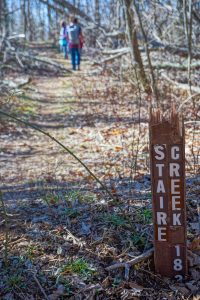 Start of the Staire Creek Trail on FS 74