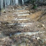 Steps on the Staire Creek Trail