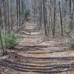 Upper End of the Staire Creek Trail