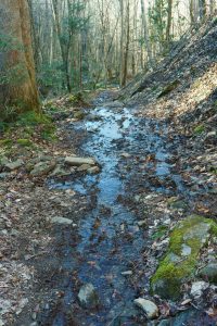 Wet Stretch of the Staire Creek Trail