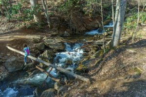 Crossing of Walker Creek