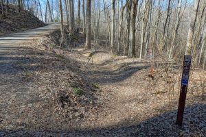 Top of the Walker Creek Trail