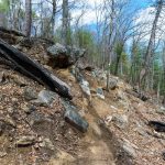 Rocky Ridge above the Chestnut Knob Trail