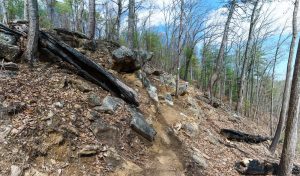 Rocky Ridge above the Chestnut Knob Trail