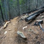 Burned Logs and Rocks on the Chestnut Knob Trail