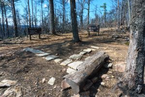 Bench on the Chestnut Knob Trail