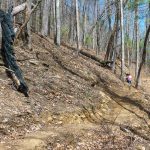 New Chestnut Knob Trail