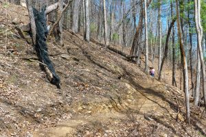 New Chestnut Knob Trail