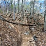 Rocky Ridge above the Chestnut Knob Trail