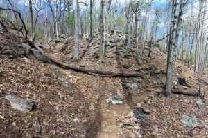 Rocky Ridge above the Chestnut Knob Trail