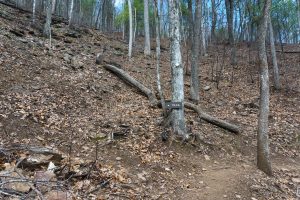 Sign and Rocky Slope