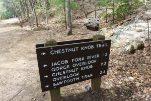 Start of the Chestnut Knob Trail