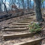 Steps on the Chestnut Knob Trail
