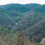 View of High Shoals Falls