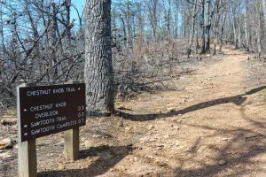 Chestnut Knob Trail Sign