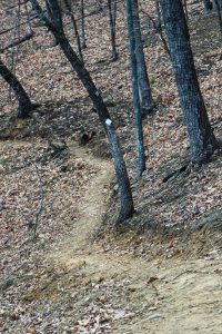 White Diamond Blaze on the Chestnut Knob Trail