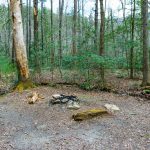 Campsite near the Pinch-In Trail