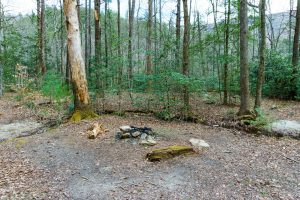 Campsite near the Pinch-In Trail