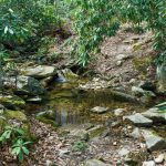 Linville River Trail at Pinch-In Trail