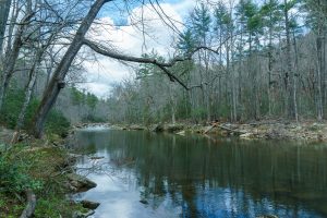 View North from the Linville Gorge