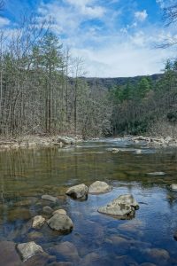 VIew of Shortoff from the Linville RIver