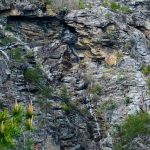 Ephemeral Waterfall near the Pinch-In Trail