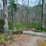 Flatter Trail Near the River