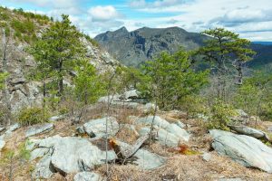 View from the upper Pinch-In Trail