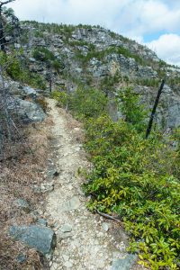 View of the Rock Ridge North of the Pinch-In Trail