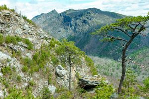 View Across Linville Gorge