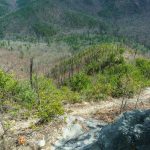 VIew Down Ridge on the Pinch-In Trail