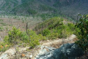 VIew Down Ridge on the Pinch-In Trail